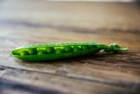 Pati kacang polong, bahan penting dalam pangan dan industri, kini jadi pusat sengketa dagang Tiongkok-Kanada. (Pixabay.com/suezl99)