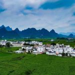 Xinhua Silk Road: Integrasi AI dalam Budidaya Sutra Murbei Jadi Jalur Baru Menuju Kesejahteraan Petani di Guangxi, Tiongkok Selatan